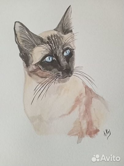 Акварель кот сиамский
