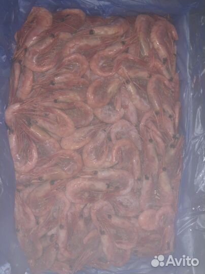 Креветка магаданская