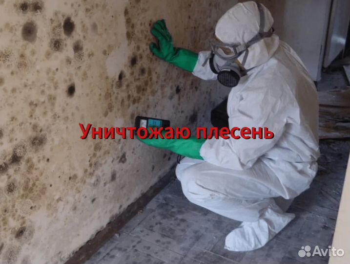 Уничтожение насекомых.Обработка от клопов