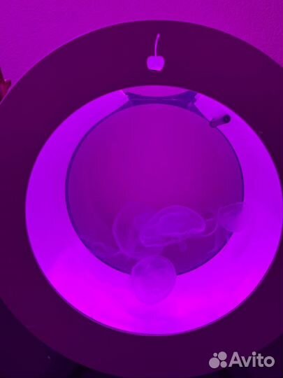 Аквариум для медуз 16 литров, белый