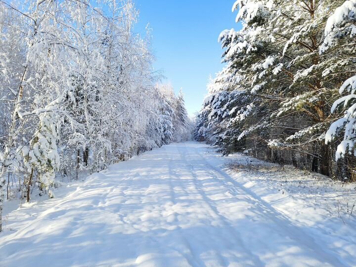 Участок 67 сот. (СНТ, ДНП)