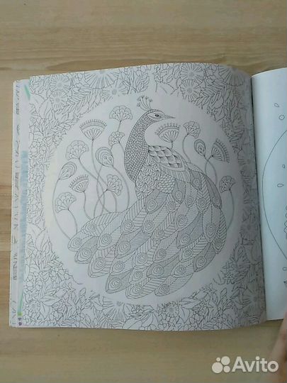 Раскраска антистресс 