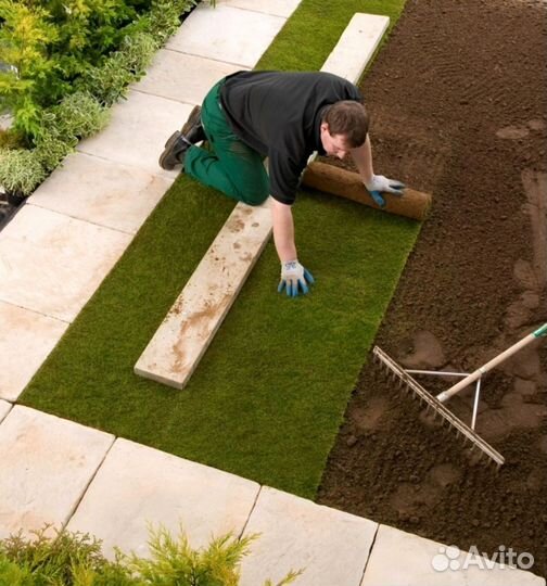 Рулонный газон / Газон под ключ