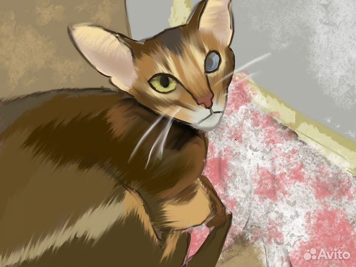 Рисую домашних животных по фото