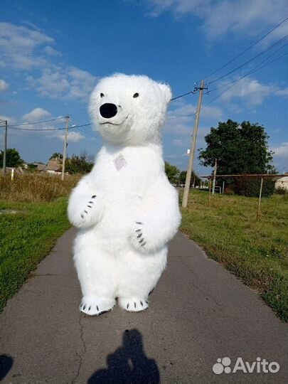 Аниматор мишка тедди