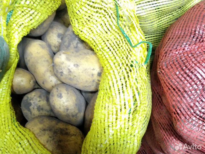 Продам картофель