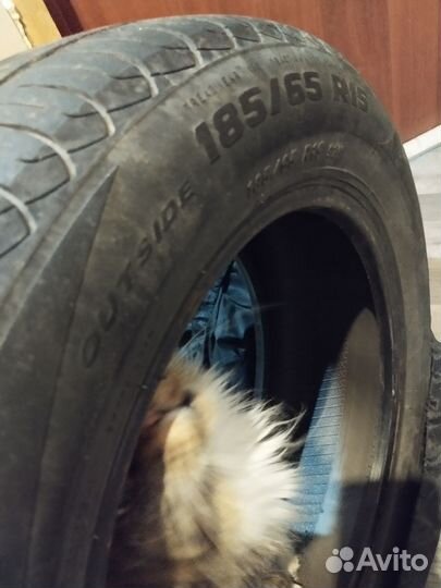 Pirelli Formula Energy 185/65 R15 92H