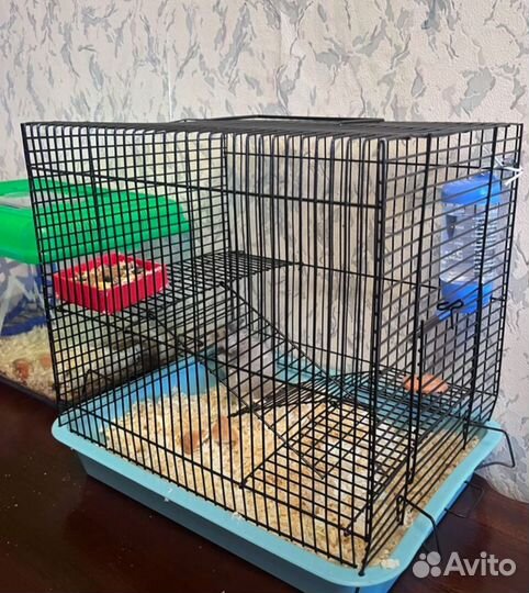 Клетка для крыс бу
