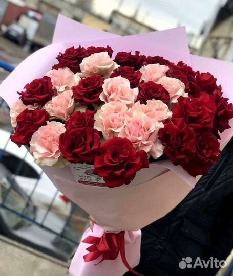 Розы софи лорен/французская роза