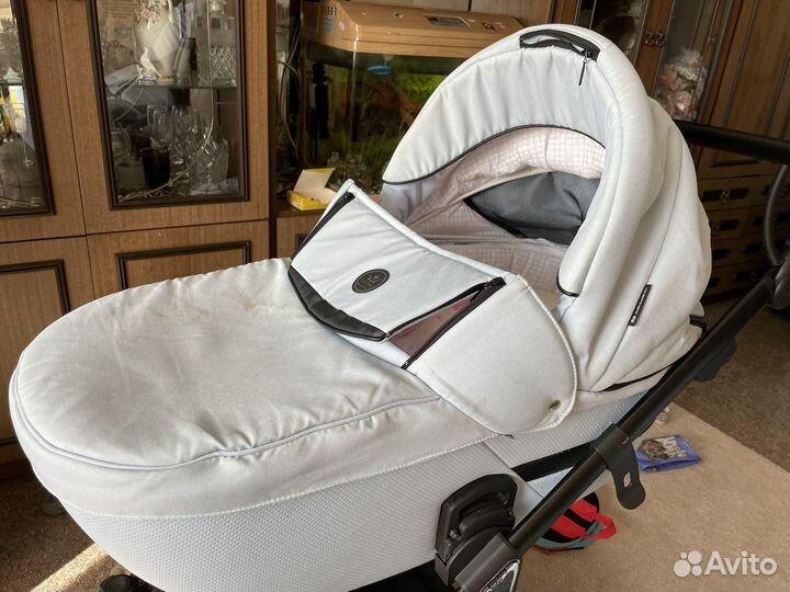 Коляска 2 в 1 adamex cortina