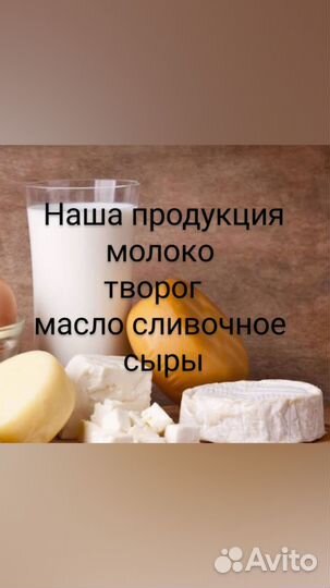 Козье молоко, творог, масло, сыр