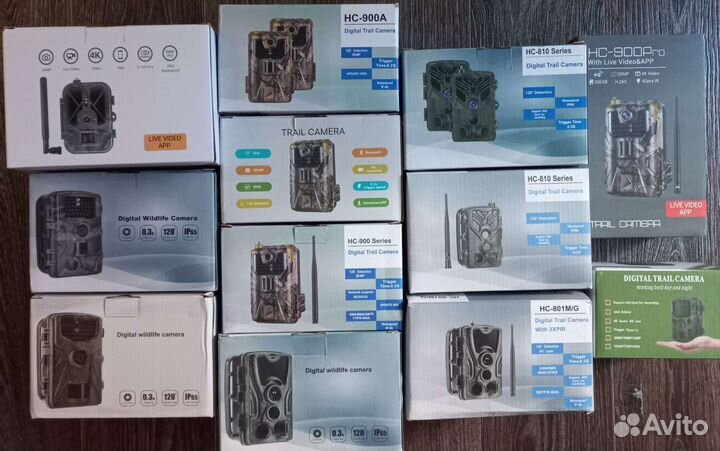 Фотоловушка Филин Сантэк. Разные много. настройка