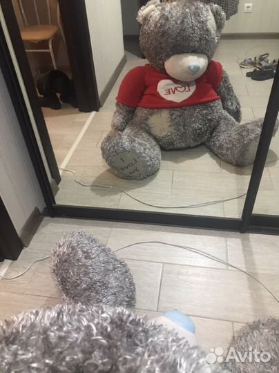 Мишка Тедди