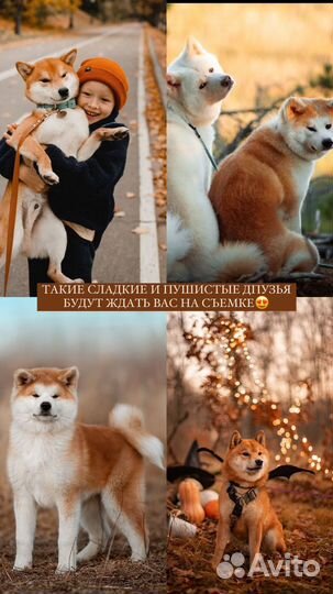 Фотопроект 