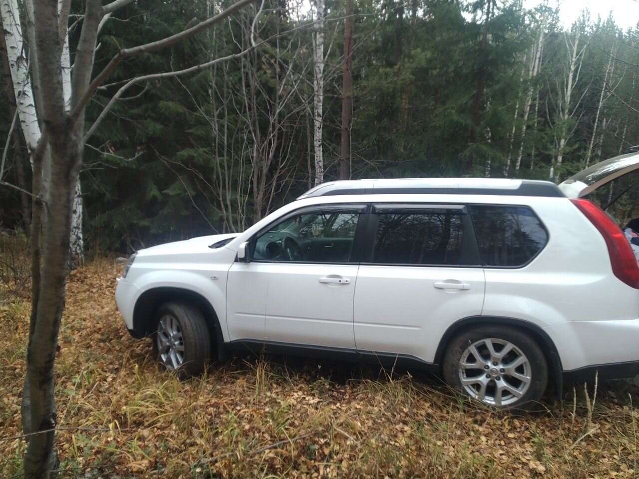 Nissan X-Trail: фото владельца