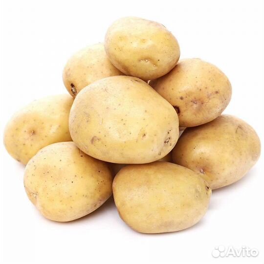 Продам картофель