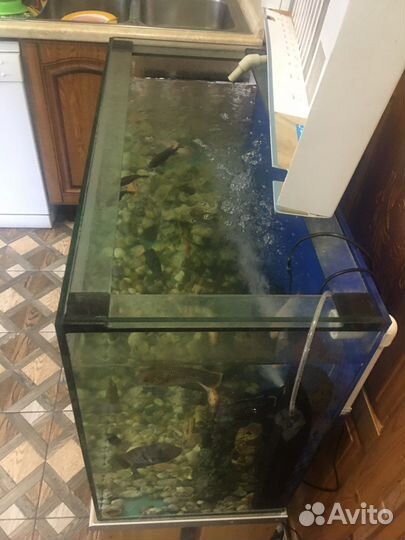 Аквариум с рыбами