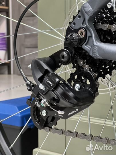 Forward Apache 29 2.0 Classic 2023