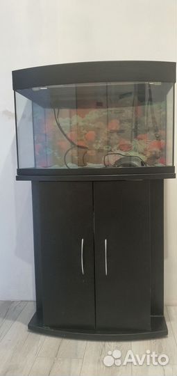 Аквариум с тумбой