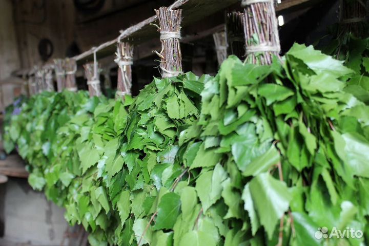 Веники для бани