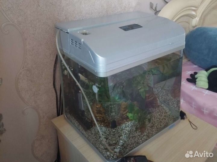 Аквариум jebo