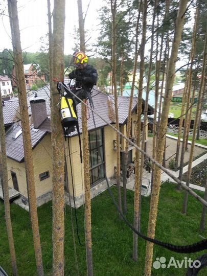 Спил деревьев любой сложности