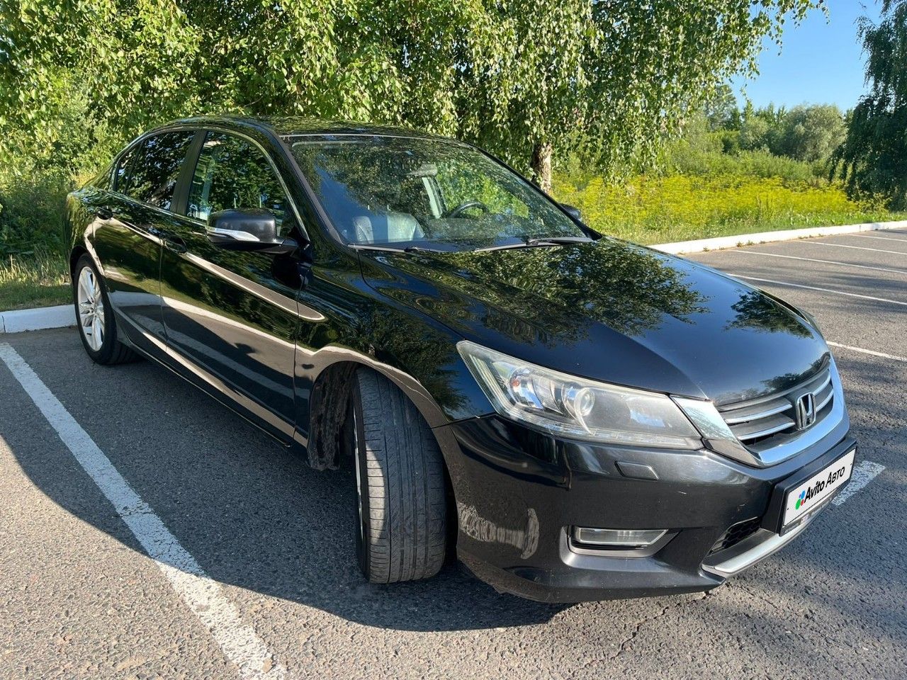 Honda Accord: фото владельца