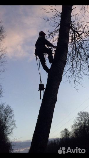 Спилить дерево