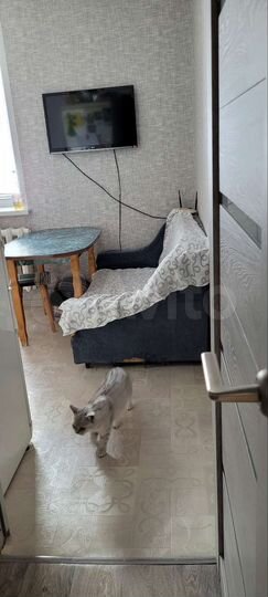 1-к. квартира, 40,1 м², 1/4 эт.