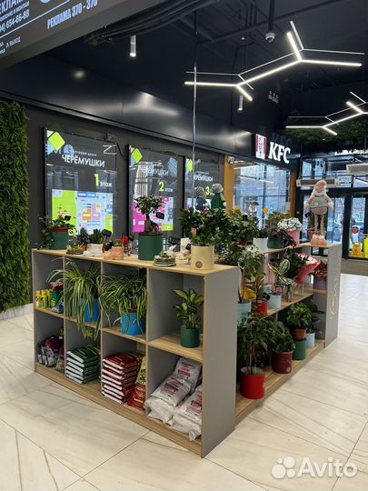 Студия цветов и декора