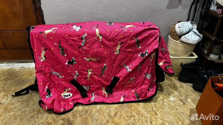 Попона для пони