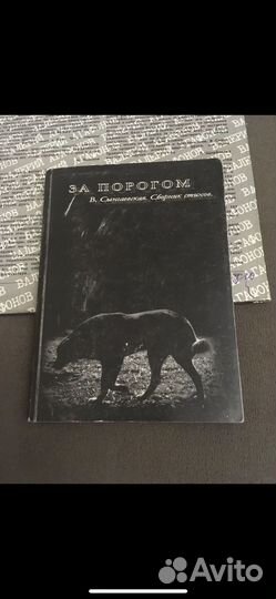 Варвара Сынгаевская - За порогом