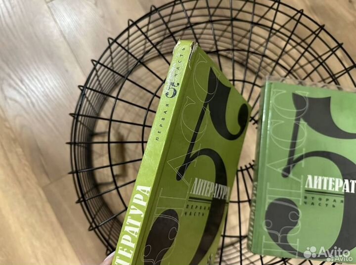 Литература учебник