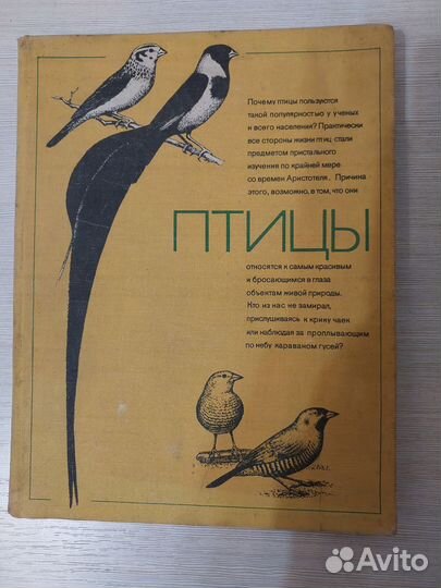 Книга птицы 1983 год СССР