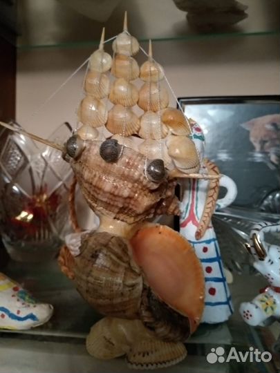 Морские ракушки раковины большие