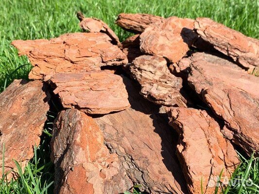 Кора / Сосновая кора / Мульча