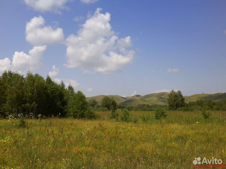 Пчеловодное хозяйство