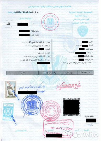 Переводчик английского, арабского, и Французского