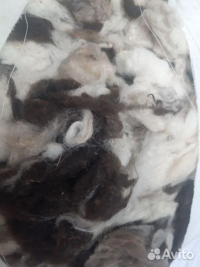 Шерсть овечья