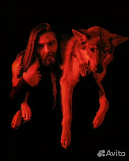 Кинолог. Специалист по коррекции поведения собак