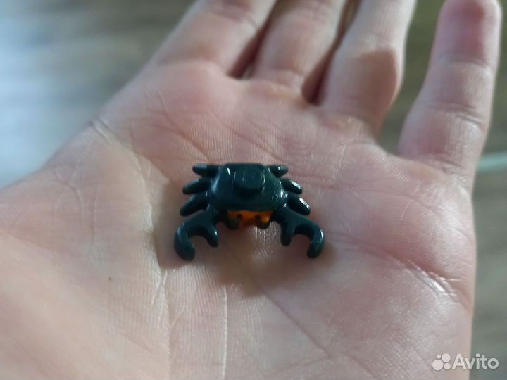 Spy crab