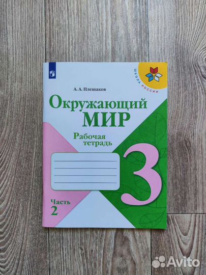 Рабочая тетрадь окружающий мир 3 класс