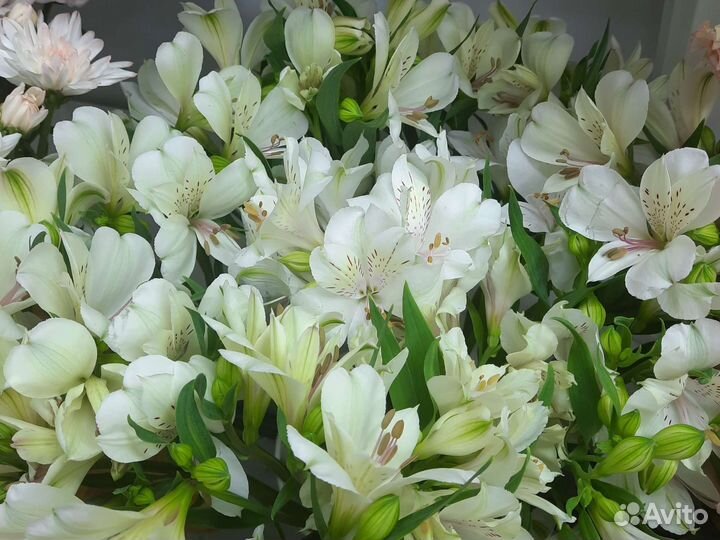 Букет из альстромерий