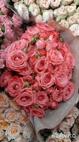 Розы нежные красивый букет