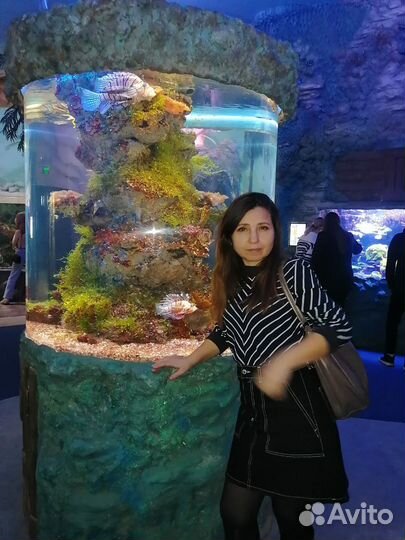 Супервайзер, менеджер, руководитель отдела