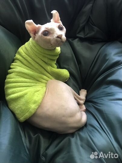 Эльфийка Вивьен