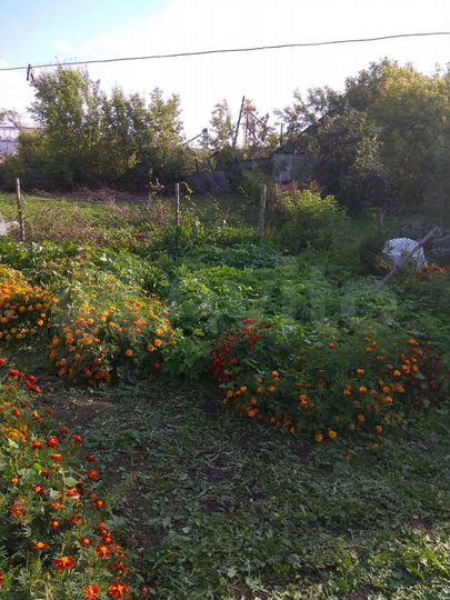 Дом 74 м² на участке 18 сот.