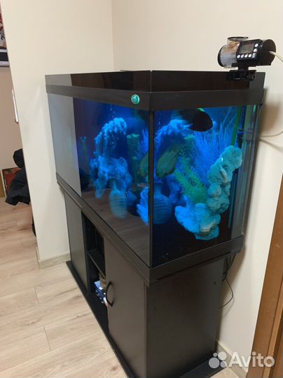 Обслуживание, чистка аквариумов по Москве И обл