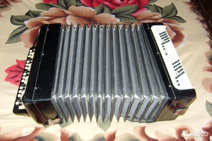 Баян россия