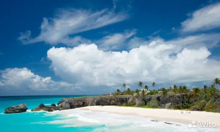 VIP-тур на о. Кубу 12 нч